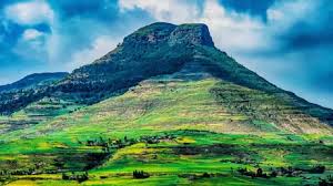 ፊኖተ ዳሞት ፖሊቴክኒክ ኮሌጅ፡ የክህሎት ማዕከል እና የነገው ስኬት መሃንዲስ