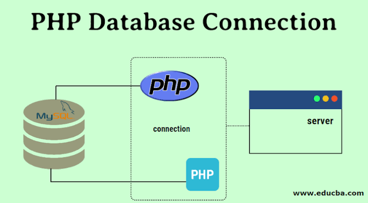 Connecting a website to a MySQL database